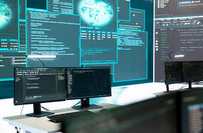 Software & Web Development